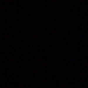 Meet your Posher, Ingrid